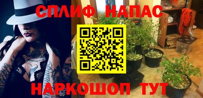 спайс Шелехов