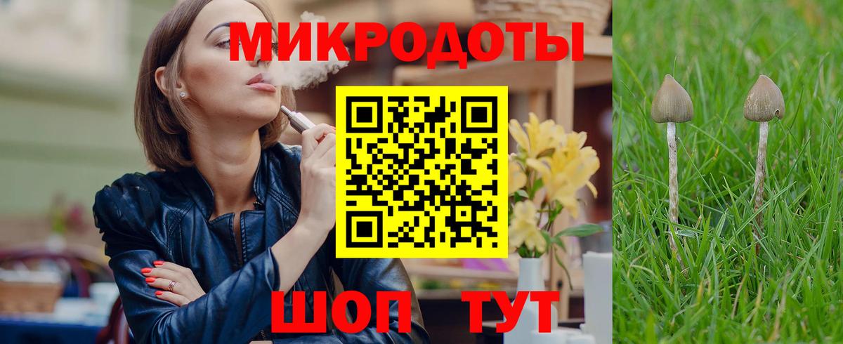 Галлюциногенные грибы Magic Shrooms Выборг
